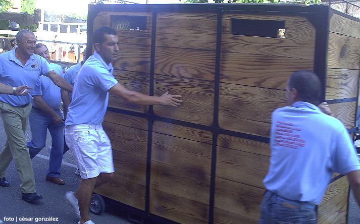 foto de los novillos